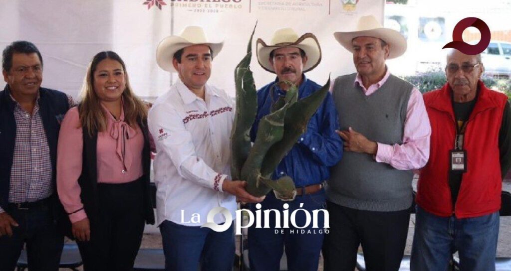 Invierten 18 Mdp en la producción de Maguey