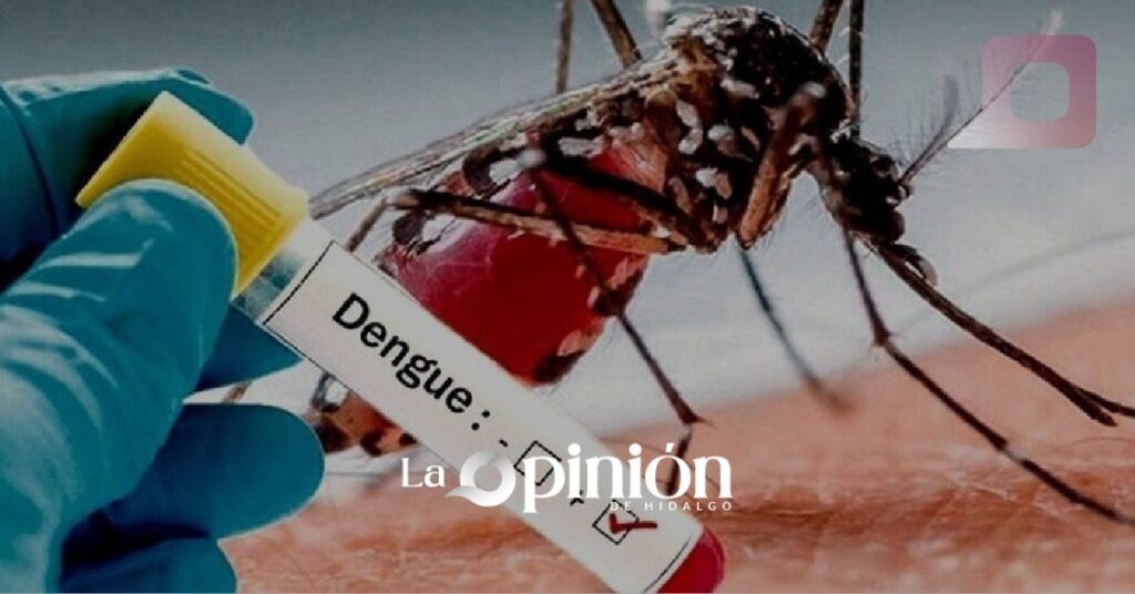 Aumento del 700% en casos de dengue sin defunciones