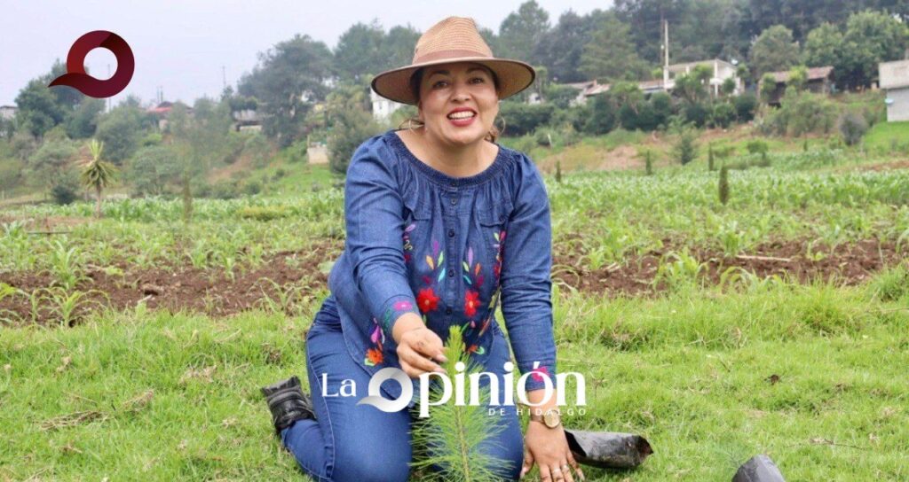 Yarabi González Impulsa iniciativa para dignificar a intérpretes de lenguas indígenas