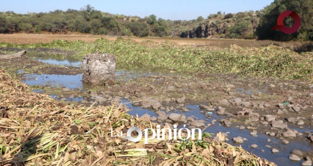 Concluye con éxito la termonebulización en el litoral de la presa Endhó