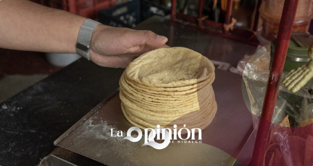 Menos trámites para tortillerías: Congreso de Hidalgo busca facilitar permisos municipales