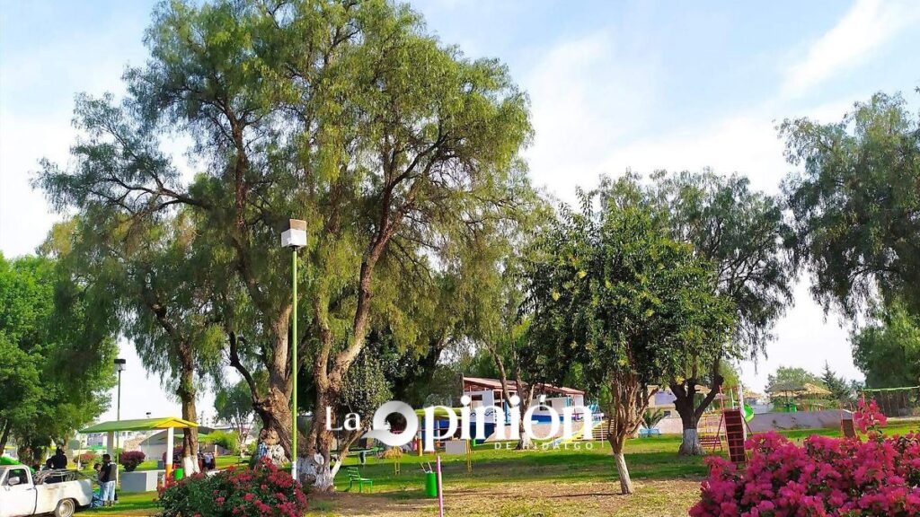 Parque La Eroka en Actopan: caminatas, asadores y diversión familiar