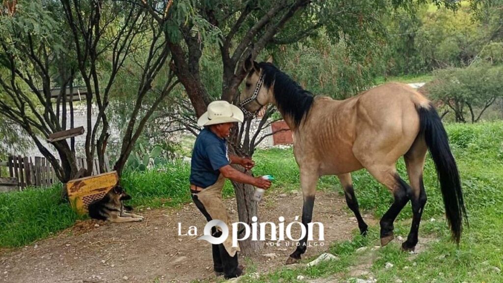 Don Vico, el jinete que montó caballos del Hipódromo de las Américas