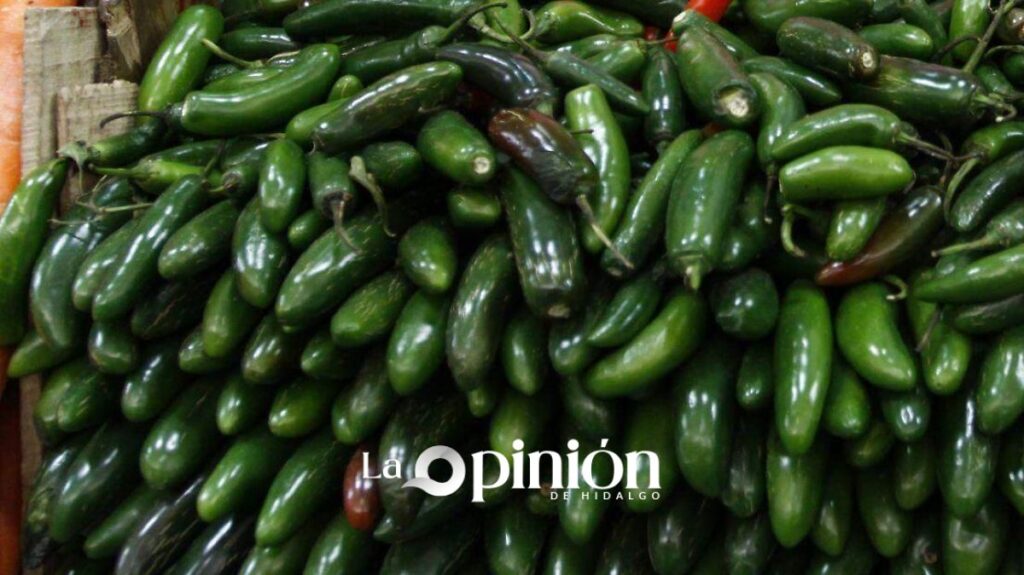Cofepris investiga chiles mexicanos por brote de salmonela en EU Cofepris investiga chiles mexicanos por brote de salmonela en EU