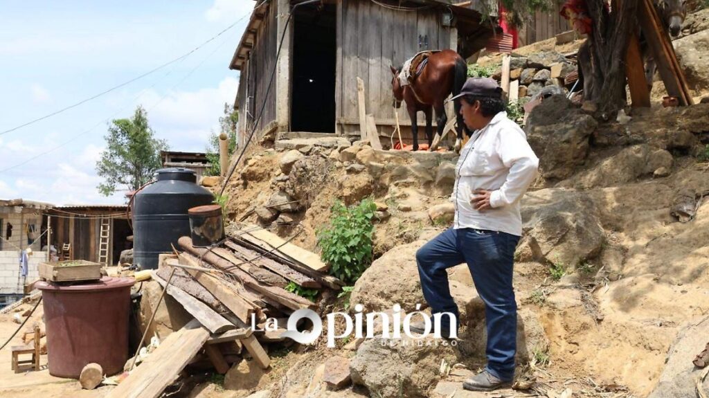 Indígenas desaparecidos en México: ONG alerta por subregistro