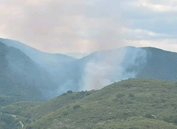 Incendio en relleno sanitario de Jacala lleva casi 24 horas activo Incendio activo en relleno sanitario de Jacala de Ledezma con columna de humo visible