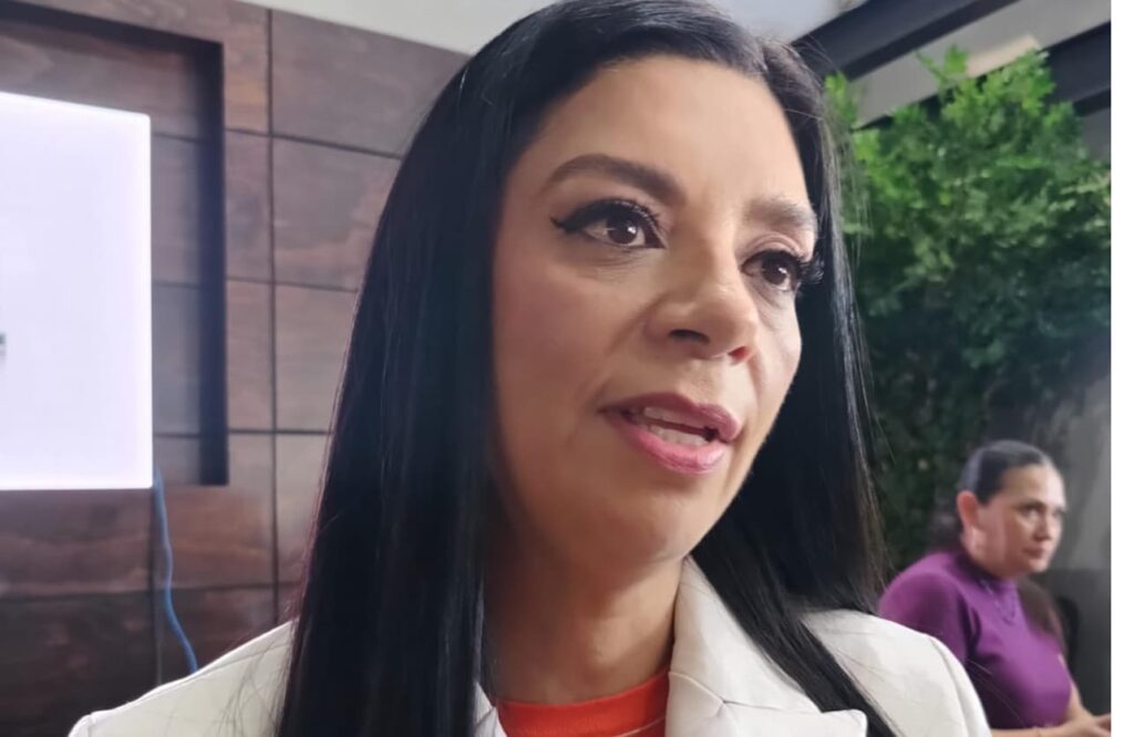 Diputada Karla Perales Arrieta de Movimiento Ciudadano en el Congreso de Hidalgo discute iniciativa de ley contra reclutamiento infantil