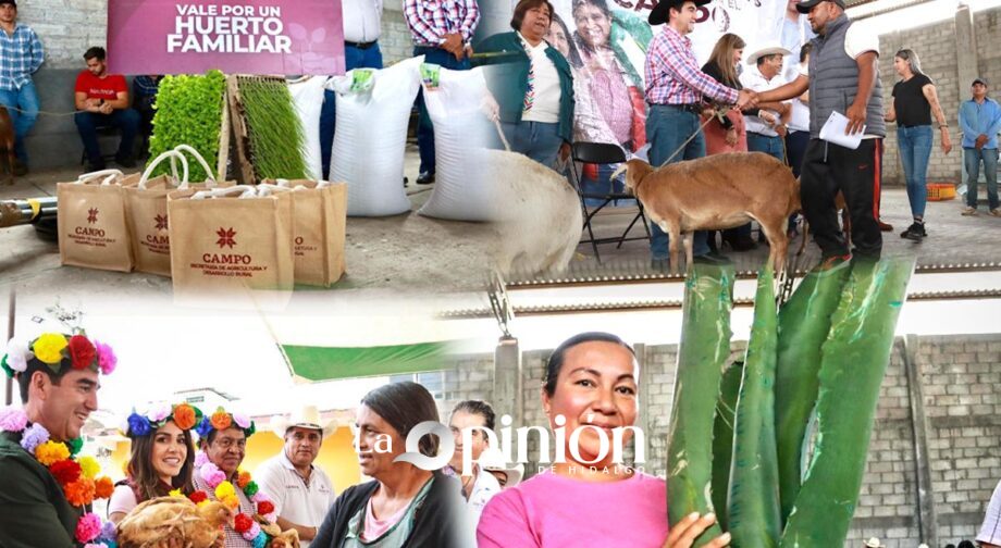 Saderh entrega 11.3 mdp a productores de Hidalgo: 1,349 beneficiados