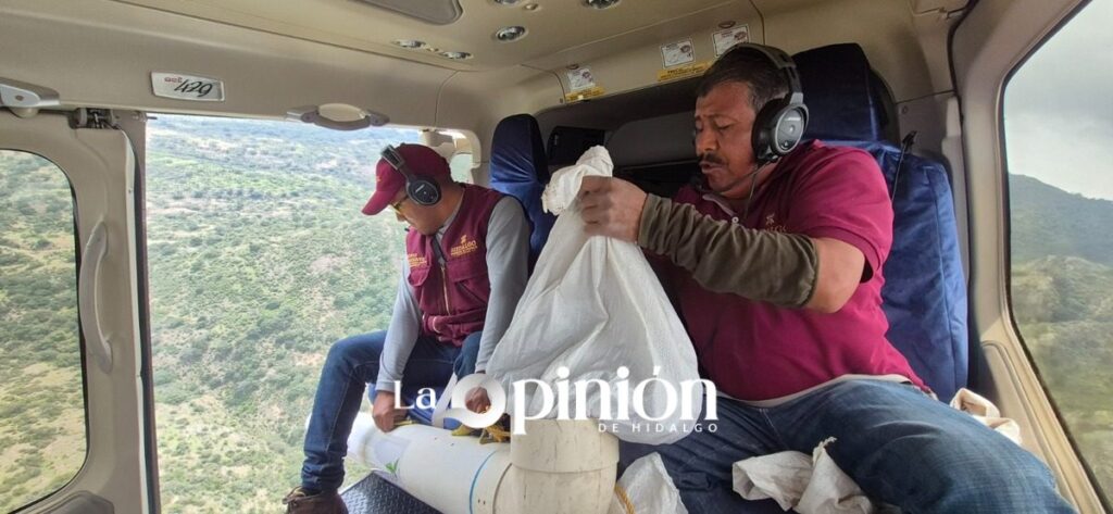 Reforestación Hidalgo 2026: dispersarán 4 millones de semillas vía aérea
